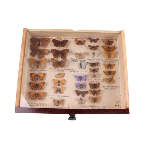 917 - A four-drawer collector's cabinet containing a selection of British butterflies with annotations, 30... 