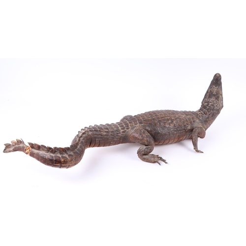 920 - Taxidermy.  A study of a juvenile caiman, 101cms long.