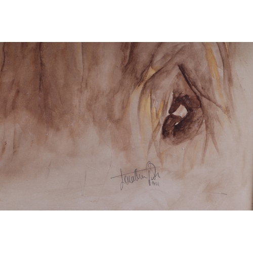 170 - Johnson Poole - Portrait of the Jersey Zoo Orangutan - watercolour, signed lower right, 45 by 65cms,... 