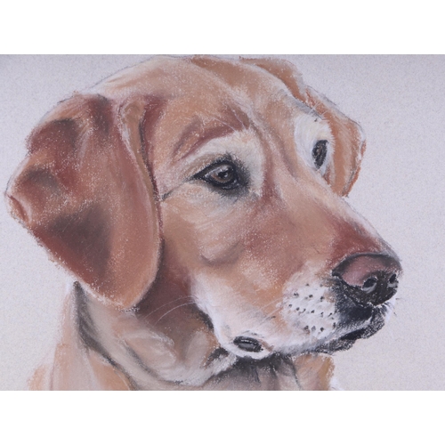 162 - Modern British - Study of a Labrador Head - pastel, signed & dated '88 lower left, 23 by 28cms; toge... 