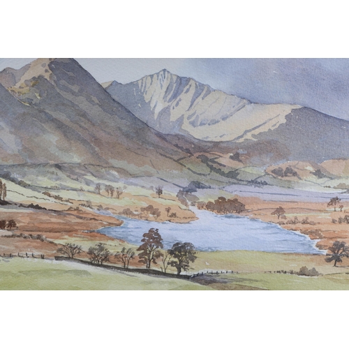 197 - G Thomas (modern British) - Valley Scene with Mountains in the Distance and Sheep in the Foreground ... 