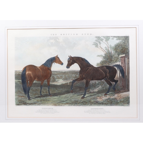 236 - After J F Herring Snr, two coloured engravings from The British Stud depicting Crucifix and Lanercos... 