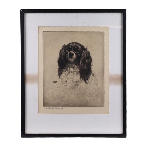 241 - After Herbert Dixie (1862-1942) -  A King Charles Spaniel - etching, signed in pencil to the margin ... 