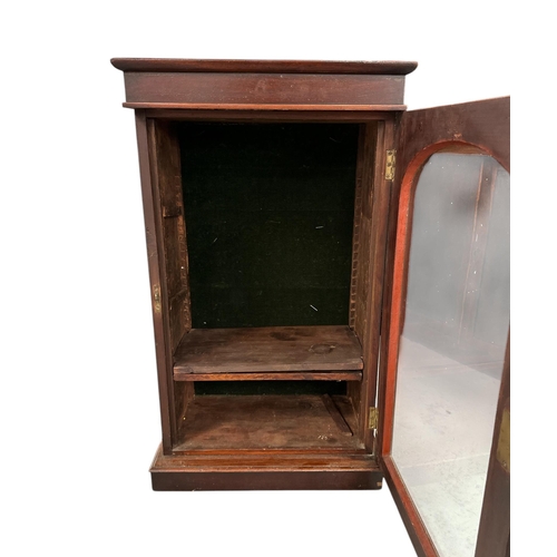 1037 - A mahogany display cabinet, the arched glazed door enclosing a shelved interior, 49cms wide.