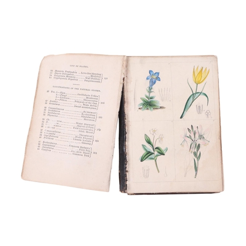 21 - Culpeper (Nicholas) The Complete Herbal, 100 Additional Herbs with a Display of Their Medicinal and ... 