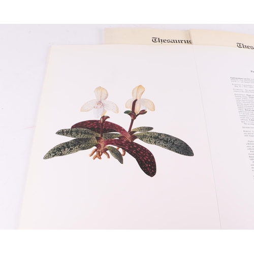 22 - Horticultural interest: Thesaurus Woolwardiae: Orchids of the Marquis of Lothian, published by Misso... 