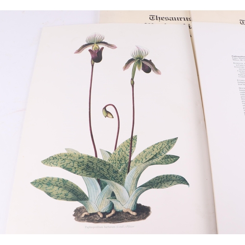 22 - Horticultural interest: Thesaurus Woolwardiae: Orchids of the Marquis of Lothian, published by Misso... 