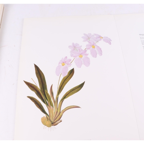 22 - Horticultural interest: Thesaurus Woolwardiae: Orchids of the Marquis of Lothian, published by Misso... 