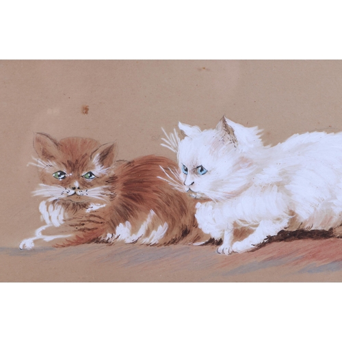 293 - Kathleen May (Victorian school) - Study of Two Cats - signed & dated 1895 lower right, framed & glaz... 