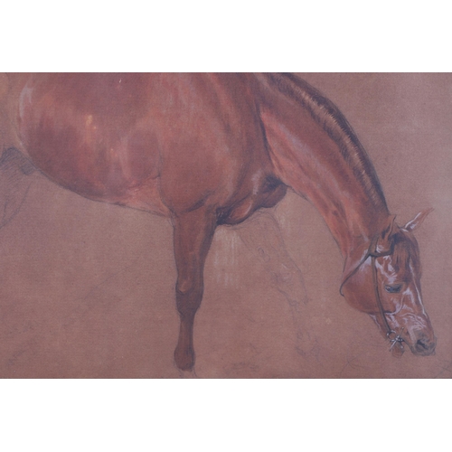 308 - Study of a Horse - print, framed & glazed, 30 by 23cms.