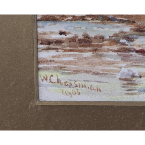 315 - W Cheeseman (early 20th century British) - Littlehampton, Sussex - signed & dated 1905 lower left, w... 