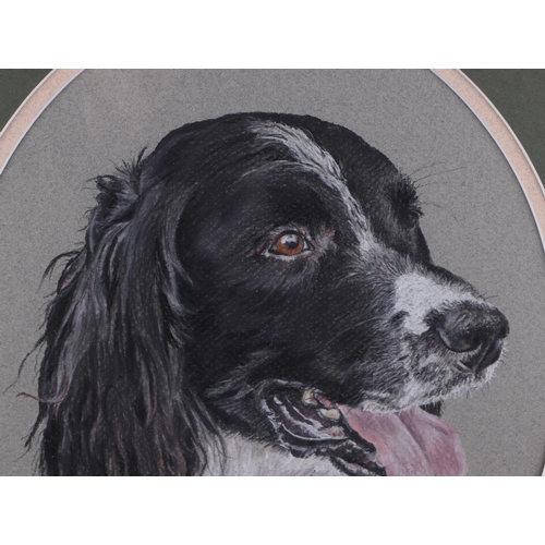 331 - V Sales (modern British) - oval portrait of a Whippet type dog; together with another similar of a s... 