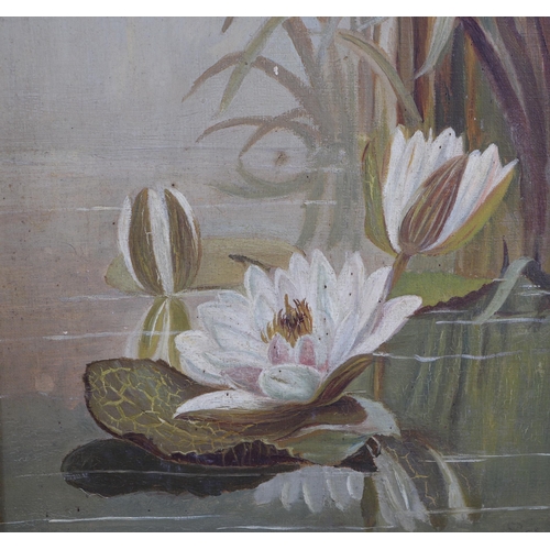 344 - Victorian school - Study of Tulips - and another of lilies and reeds, both oil on board, both indist... 