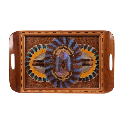 573 - A group of early 20th century butterfly wing trays, the largest 52cms wide (6).