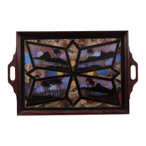 573 - A group of early 20th century butterfly wing trays, the largest 52cms wide (6).