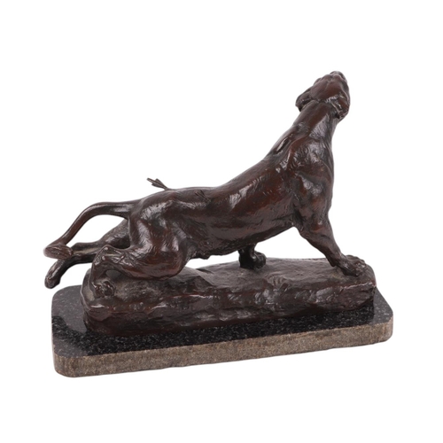 597 - A French bronze animalier model of a wounded lioness by Charles Valton (French 1851-1918) on a natur... 