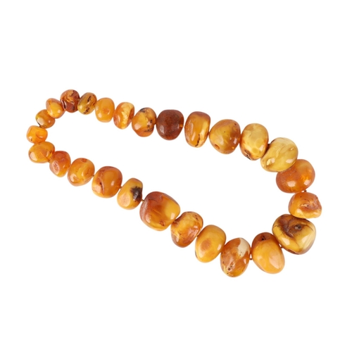 863 - A natural amber graduated bead necklace, the largest bead approx 3.5cms diameter, 243g.