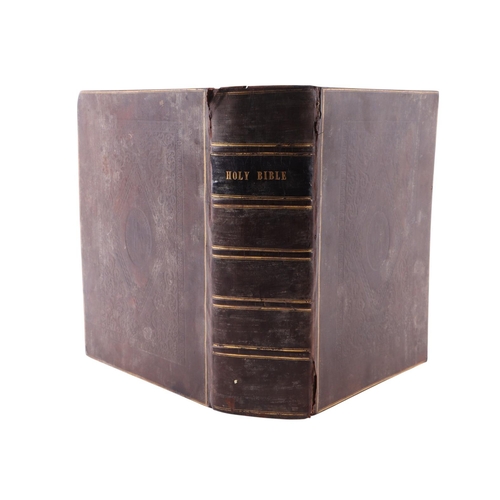 Lot 12        