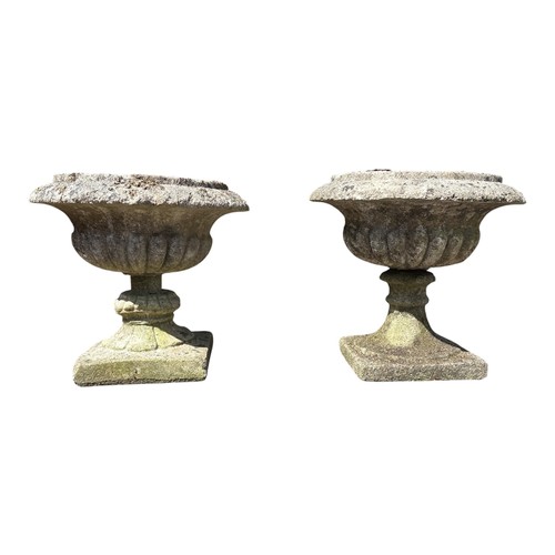 Lot 26        