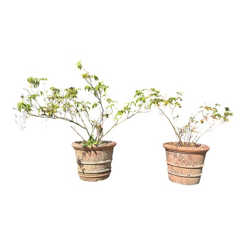 Lot 28        