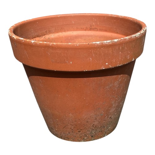 Lot 36        