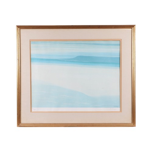 Lot 223       