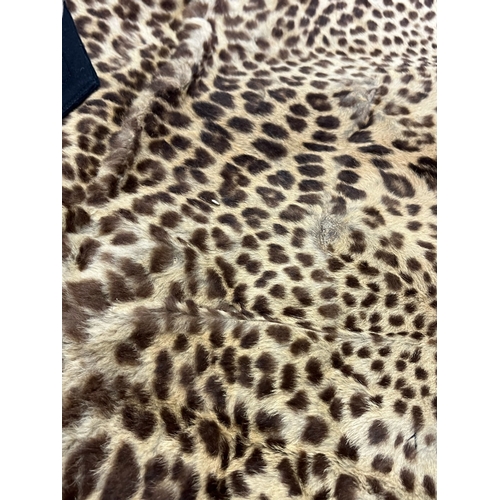 137 - Antique Large Genuine Leopard Skin - Stitched onto a Black Baize Thick Cloth