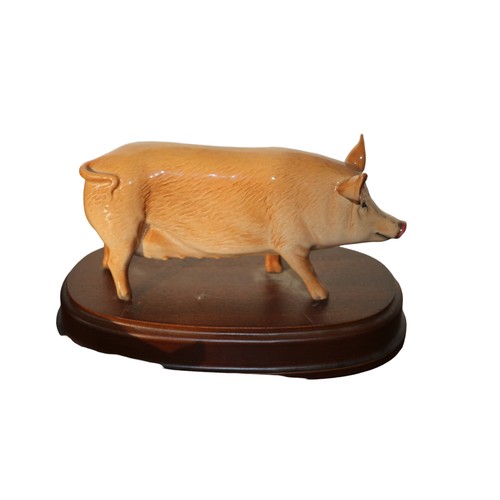 24 - Royal Doulton - Gloss Tamworth Pig on a Plinth - No. DA215 plus a Freestanding Gloss Tamworth Sow - ... 