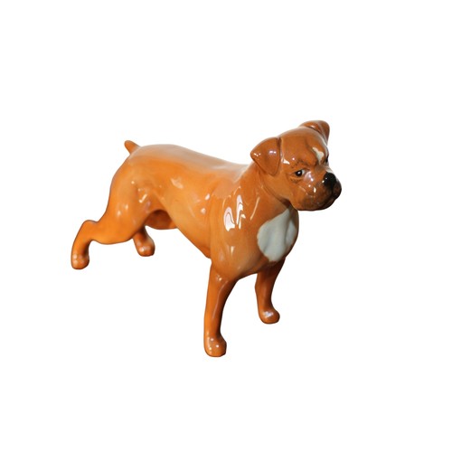 42 - Beswick Wire Haired Fox Terrier Talavera Romulus - 15cm Long x 14cm Tall plus a Beswick Boxer Dog Bl... 