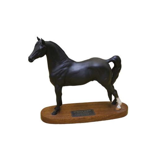 7 - Beswick Connoisseur Model - Morgan Horse - 'Tarryall Maestro' Figure on Wood Base - 31 x 29cm