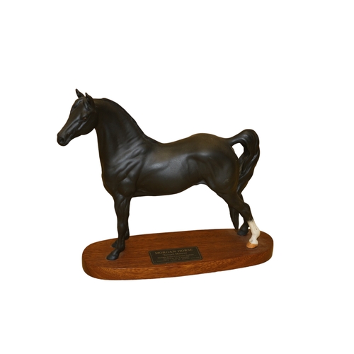 7 - Beswick Connoisseur Model - Morgan Horse - 'Tarryall Maestro' Figure on Wood Base - 31 x 29cm