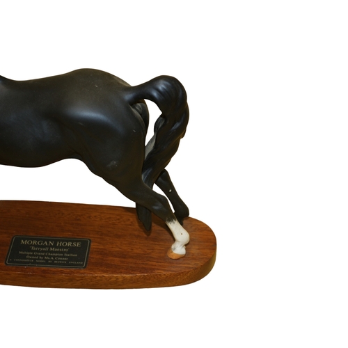 7 - Beswick Connoisseur Model - Morgan Horse - 'Tarryall Maestro' Figure on Wood Base - 31 x 29cm