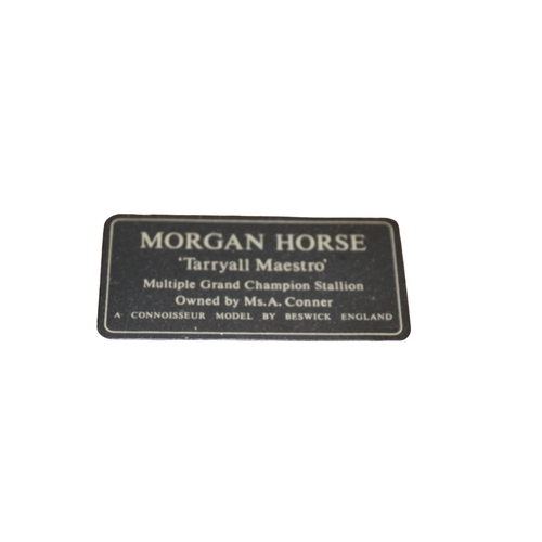 7 - Beswick Connoisseur Model - Morgan Horse - 'Tarryall Maestro' Figure on Wood Base - 31 x 29cm