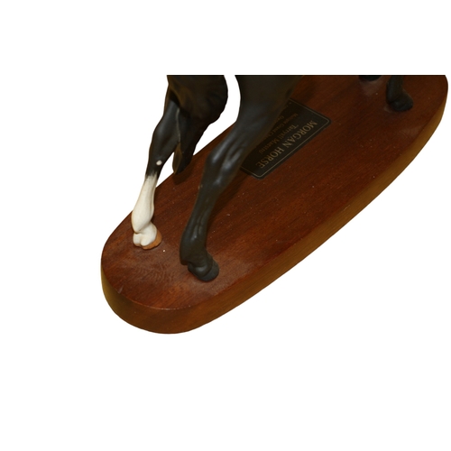 7 - Beswick Connoisseur Model - Morgan Horse - 'Tarryall Maestro' Figure on Wood Base - 31 x 29cm