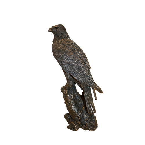 70 - Studio Bronze, Bronze Coated Eagles 'A28859', Signed K Sherwin, 34 cm high