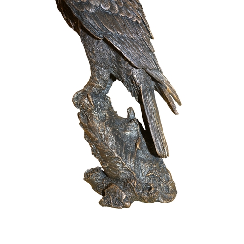 70 - Studio Bronze, Bronze Coated Eagles 'A28859', Signed K Sherwin, 34 cm high