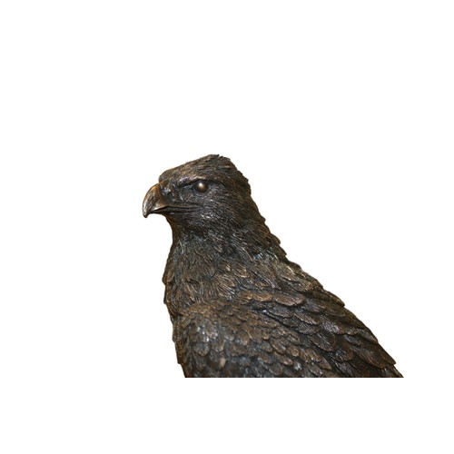 71 - Studio Bronze, Bronze Coated Eagle 'A28859', Signed K Sherwin, 34 cm high