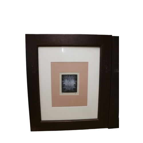 105 - 2 Framed (1 Limited Edition) Signed Leaf Pictures, 63.5 x 53.5 cm