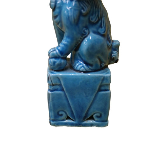 107 - Early 20th Century Chinese Turquoise Blue Dog of Fo, 11.5cm Tall