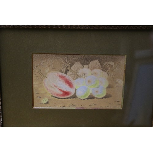 117 - Mid century Pair of Paintings of Fruit by Reich, 32 x 25 cm