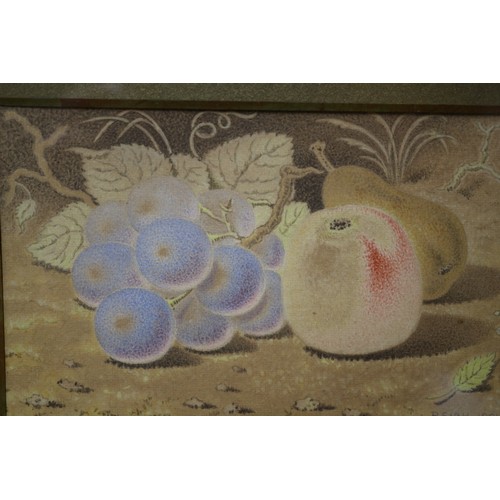 117 - Mid century Pair of Paintings of Fruit by Reich, 32 x 25 cm