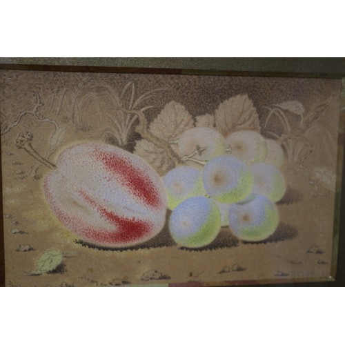 117 - Mid century Pair of Paintings of Fruit by Reich, 32 x 25 cm