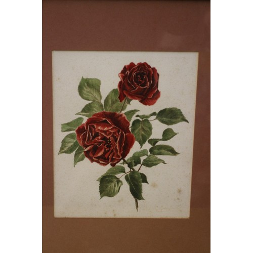 118 - 2 Well Executed and Attributed to Leslie Greenwood Flower Watercolours, Signed, 48 x 41 cm