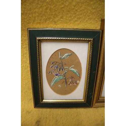 142 - 3 Very Detailed and Executed Watercolours of Flowers in Oval Mounts and Framed and Glazed - Signed M... 