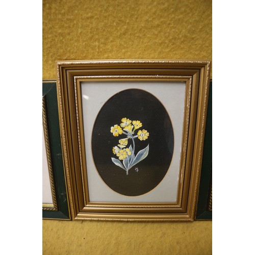 142 - 3 Very Detailed and Executed Watercolours of Flowers in Oval Mounts and Framed and Glazed - Signed M... 