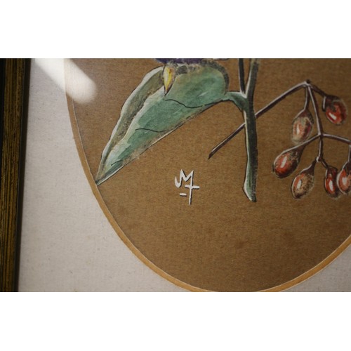 142 - 3 Very Detailed and Executed Watercolours of Flowers in Oval Mounts and Framed and Glazed - Signed M... 