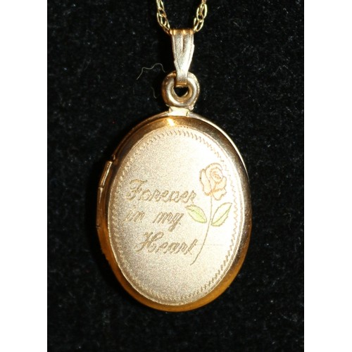 22 - 9ct 375 Gold Necklace and Locket Pendant 