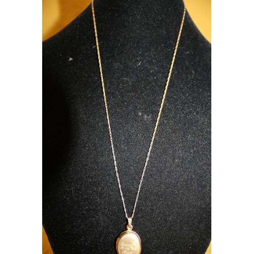 22 - 9ct 375 Gold Necklace and Locket Pendant 