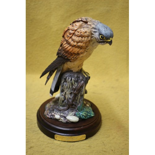 56 - Royal Doulton 'Kestrel' DA 205, Signed by Sculptor In Gold, Limited Edition 206/2500, Boxed on Base,... 