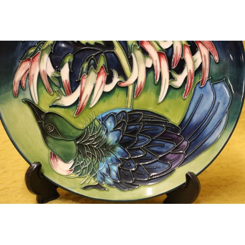 74 - Moorcroft 'Tui' Plate, 22cm Diameter, By Philip Gibson & Signed on Back, Limited Edition 119/150